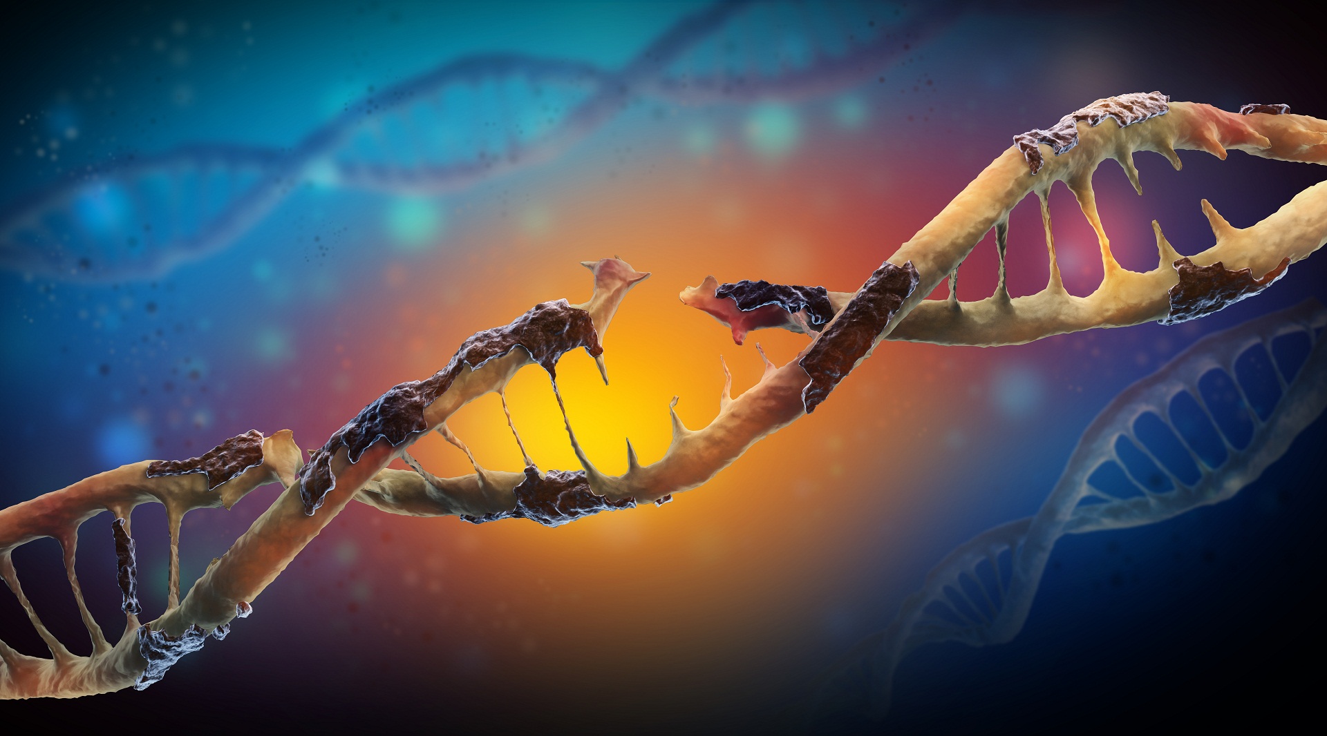 Mutação genética: quais são os tipos de mutações genéticas?